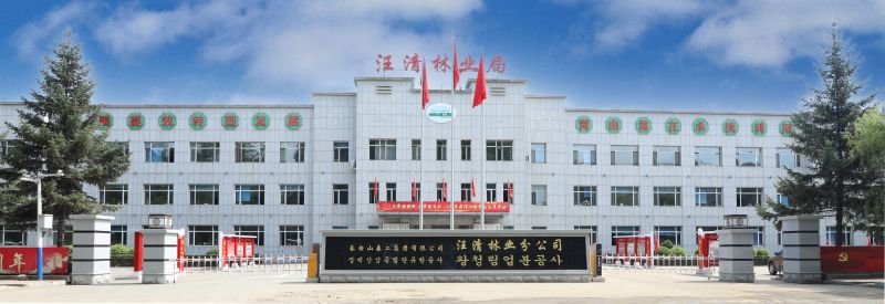 加大企業(yè)精神宣傳李力度，公司總部辦公樓懸掛企業(yè)精神.jpg